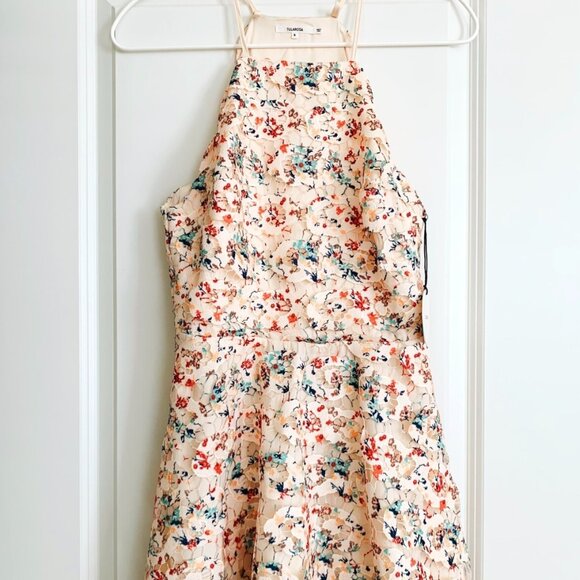 NWT Tularosa Cyrus Guipure Lace Floral Fit & Flare Dress in Cream Multi Size S - Picture 1 of 6